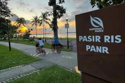 Blk 554 Pasir Ris Street 51 (Pasir Ris), HDB 4 Rooms #461783041